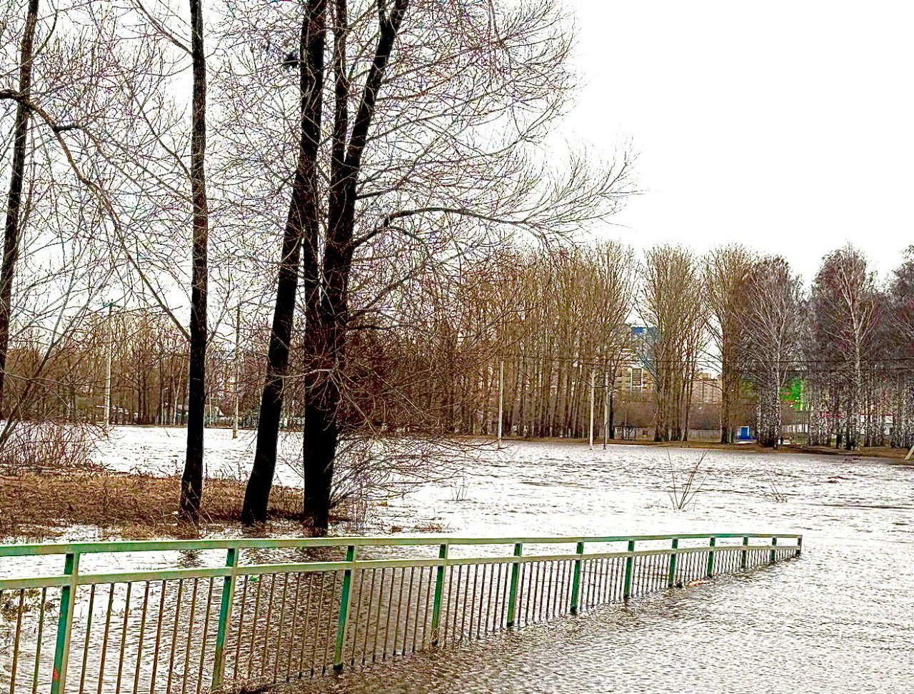 Информация о паводковой обстановке на территории г.о. Саранск