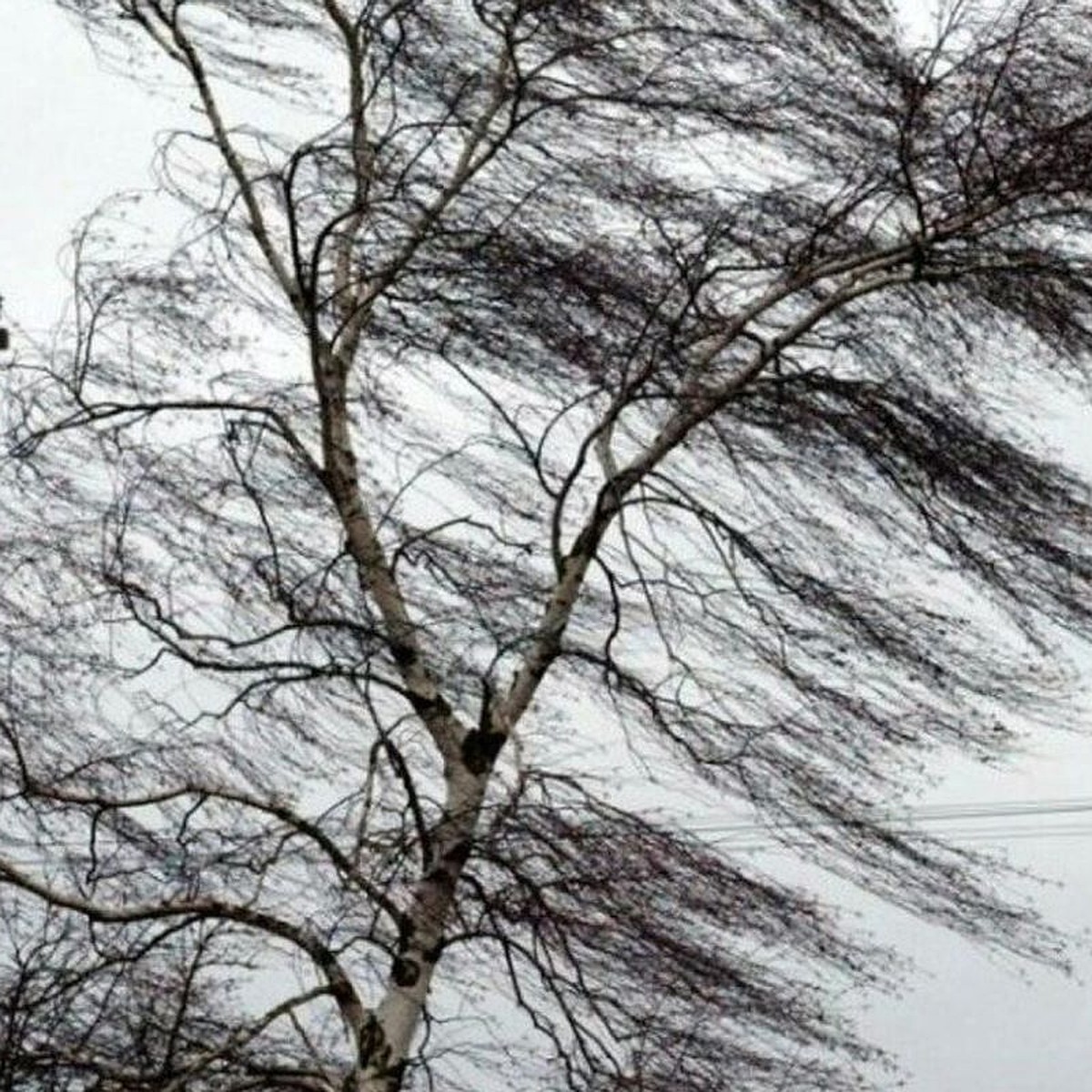 В Саранске на 12 декабря объявлено штормовое предупреждение