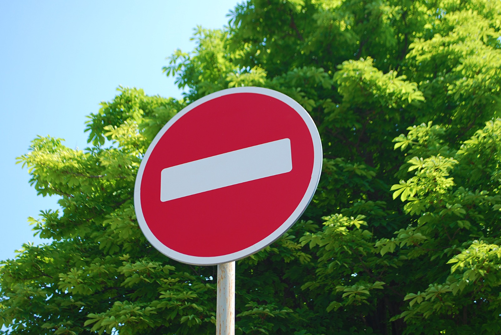 В Саранске 23 и 24 июня временно будет ограничено движение и исключена стоянка и остановка транспортных средств на некоторых участках улично-дорожной сети