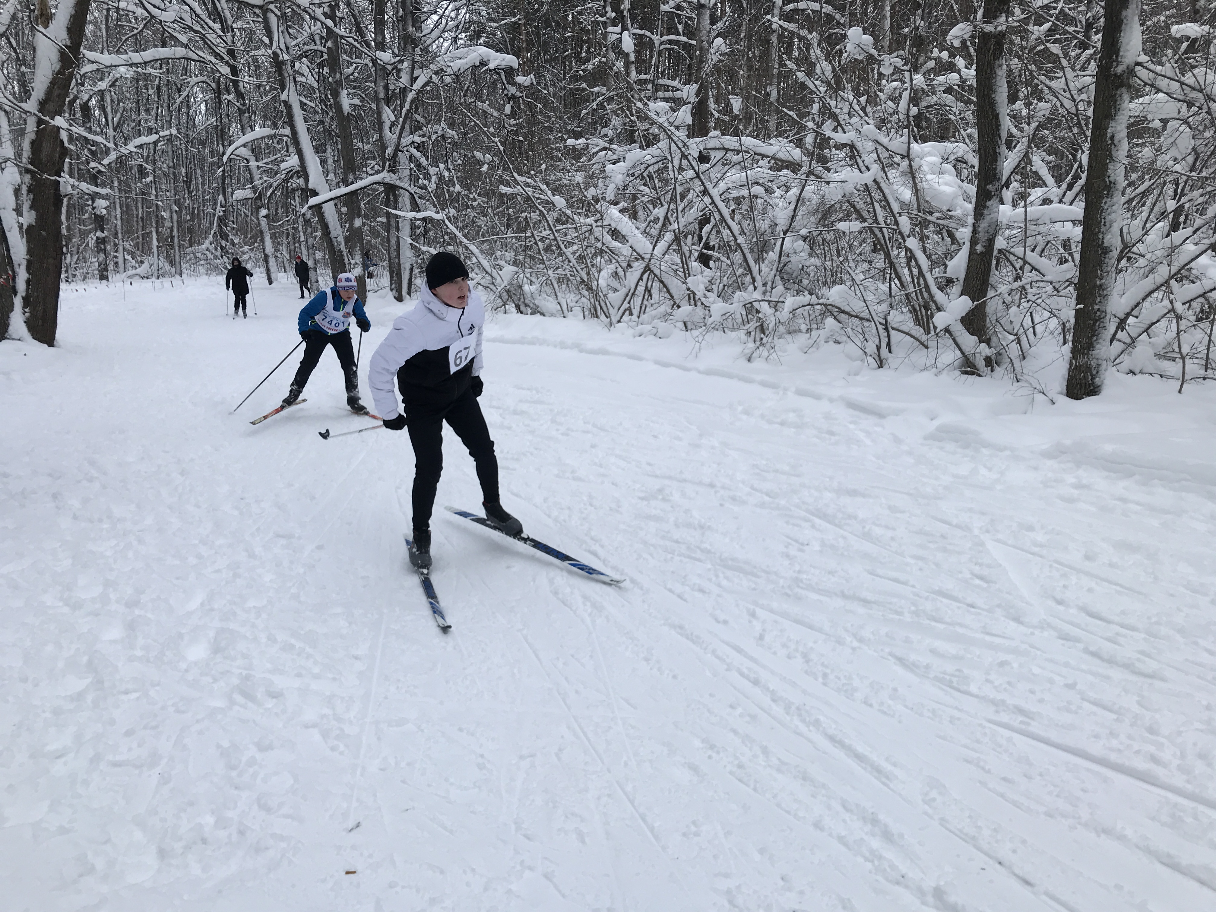 В лесопарке Пролетарского района состоялись соревнования по лыжным гонкам среди школьников