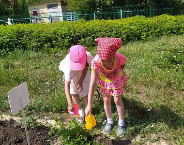 На территории Саранского Детского сада №78 создали мини - огород, который используется для экологического и трудового воспитания дошкольников