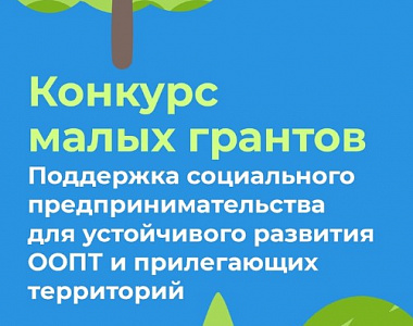 Фонд «Зеленая миссия» проводит конкурс малых грантов 