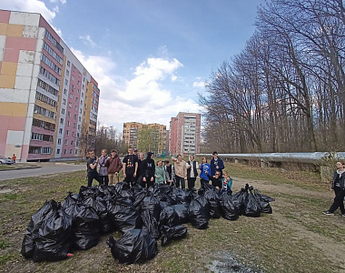 В рамках акции «Чистый город» сегодня состоялась масштабная уборка в лесопарковой зоне Пролетарского района
